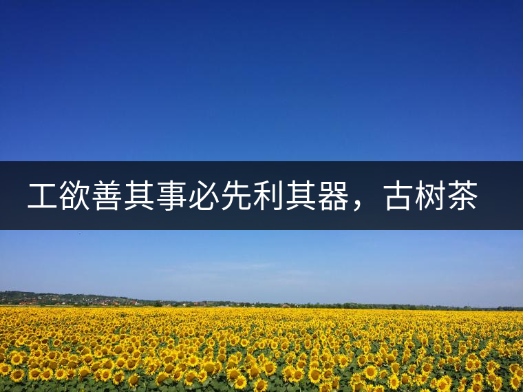 工欲善其事必先利其器，古樹茶用什么茶器最好？