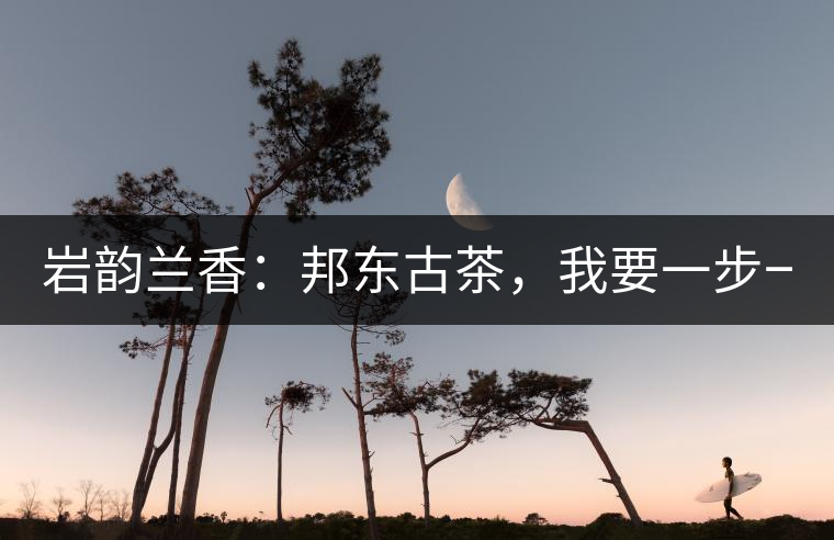 巖韻蘭香：邦東古茶，我要一步一步往上爬！