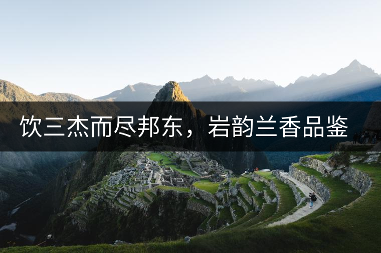 飲三杰而盡邦東，巖韻蘭香品鑒：生于山石上，韻味正當(dāng)