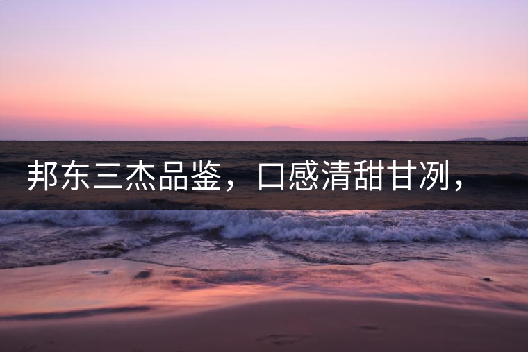 邦東三杰品鑒，口感清甜甘冽，香氣富于變化