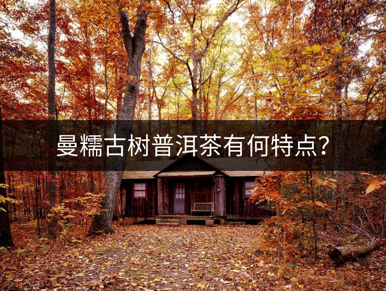 曼糯古樹(shù)普洱茶有何特點(diǎn)？