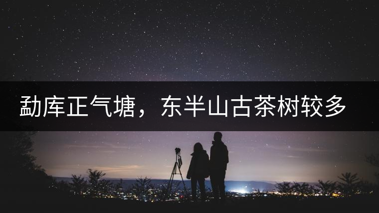 勐庫(kù)正氣塘，東半山古茶樹較多的寨子