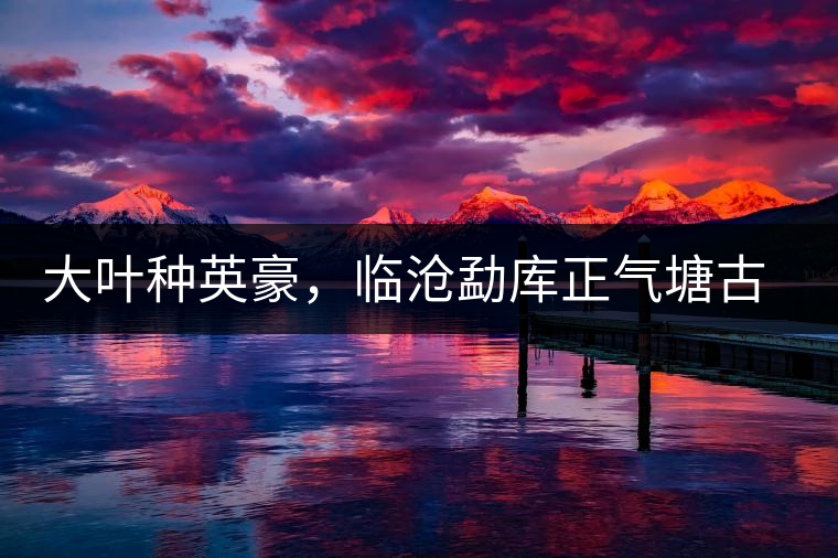 大葉種英豪，臨滄勐庫(kù)正氣塘古樹(shù)茶介紹