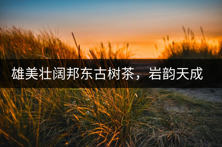 雄美壯闊邦東古樹(shù)茶，巖韻天成甘香鮮靈