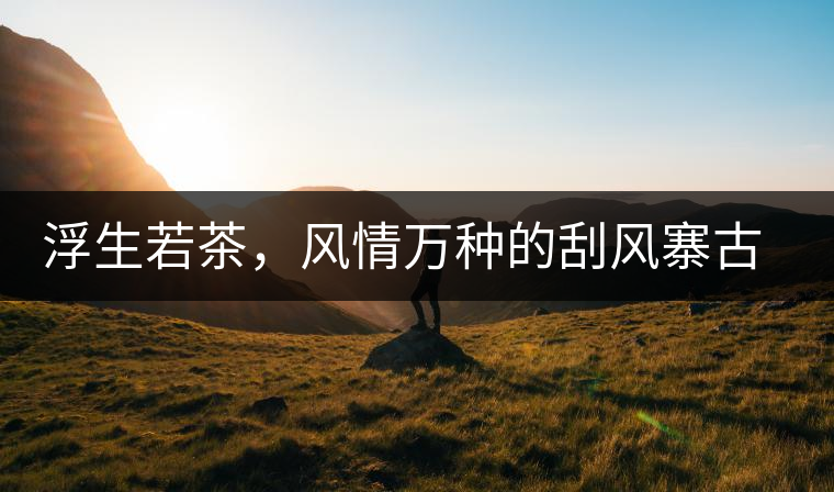 浮生若茶，風(fēng)情萬(wàn)種的刮風(fēng)寨古樹茶