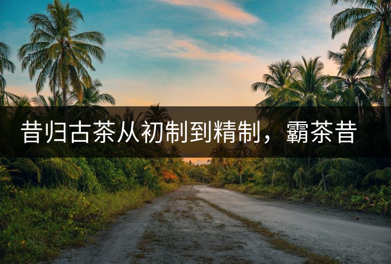 昔歸古茶從初制到精制，霸茶昔歸茶農(nóng)專業(yè)合作社成立