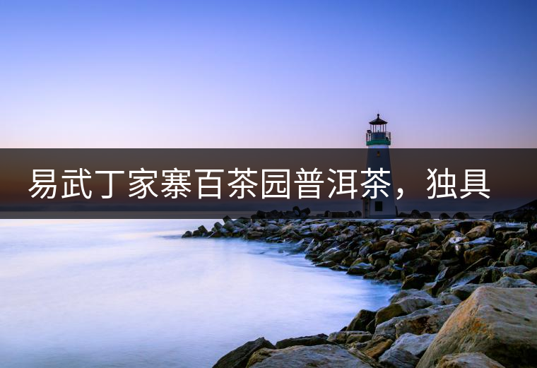 易武丁家寨百茶園普洱茶，獨具魅力的原始古樹茶