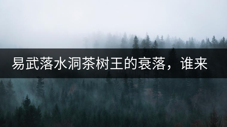 易武落水洞茶樹王的衰落，誰來關(guān)注古樹茶？