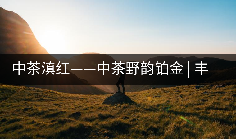 中茶滇紅——中茶野韻鉑金 | 豐苗挺秀，山野花香