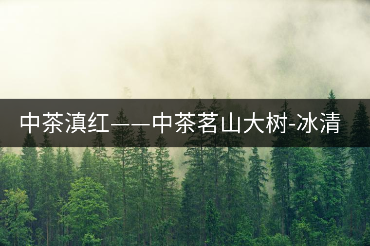 中茶滇紅——中茶茗山大樹-冰清紅袖②號 中茶滇紅——中茶茗山大樹-冰清紅袖②號
