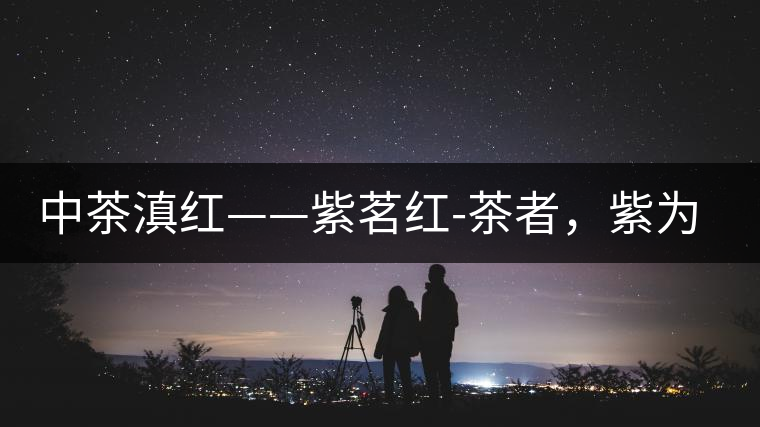 中茶滇紅——紫茗紅-茶者，紫為上