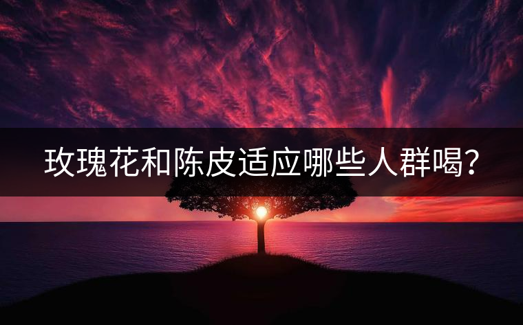 玫瑰花和陳皮適應(yīng)哪些人群喝？