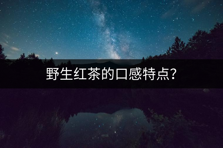 野生紅茶的口感特點(diǎn)？