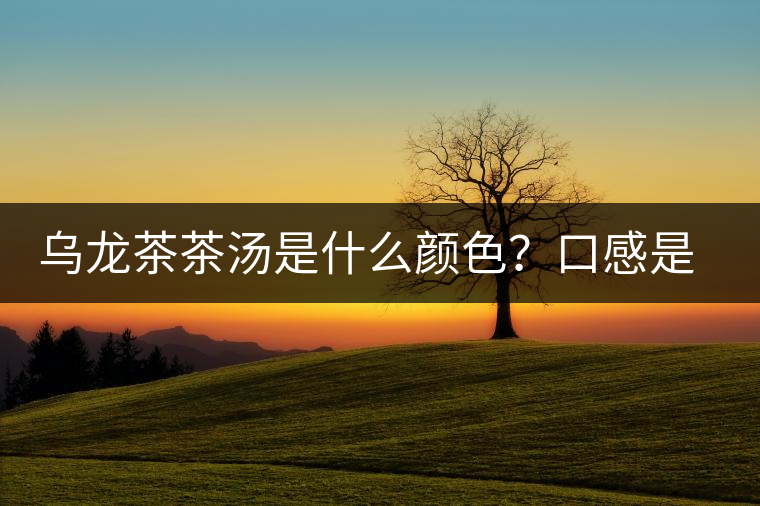 烏龍茶茶湯是什么顏色？口感是什么？