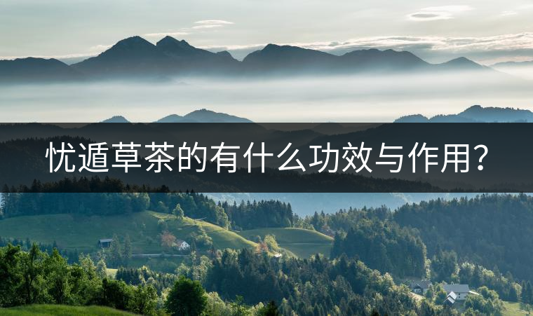 憂遁草茶的有什么功效與作用？