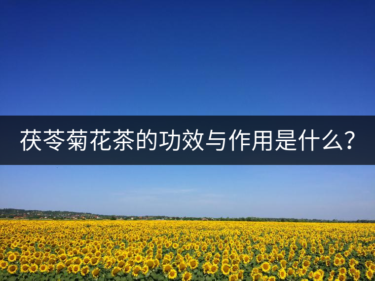 茯苓菊花茶的功效與作用是什么？