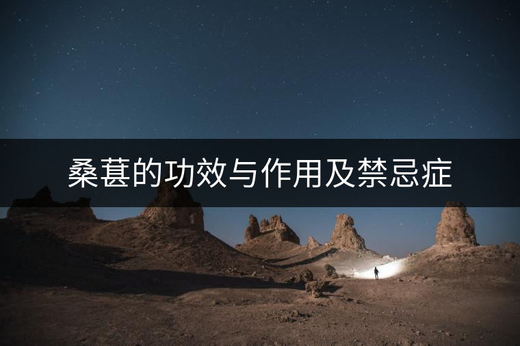 桑葚的功效與作用及禁忌癥