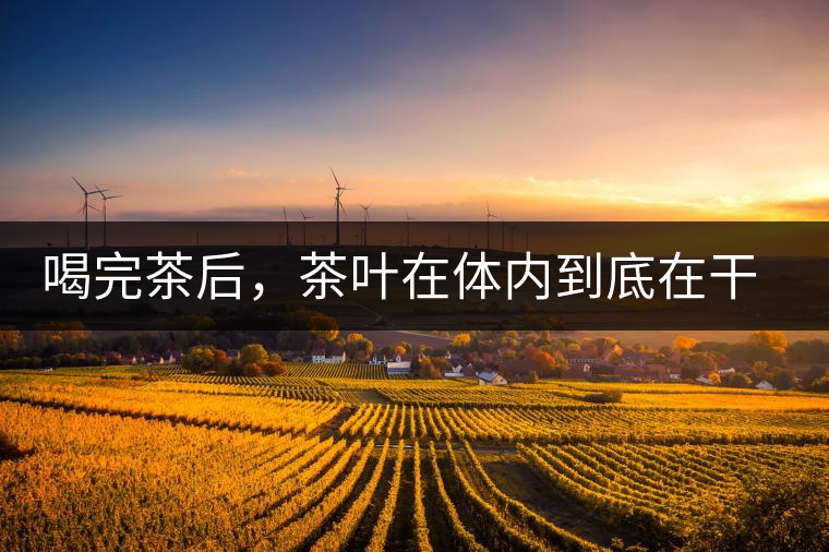 喝完茶后，茶葉在體內(nèi)到底在干嘛，游走的茶水