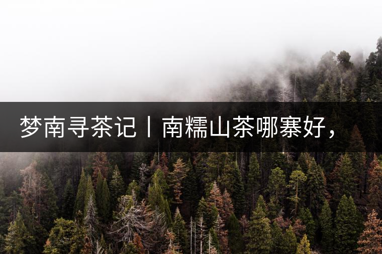 夢(mèng)南尋茶記丨南糯山茶哪寨好，半坡老寨數(shù)第一