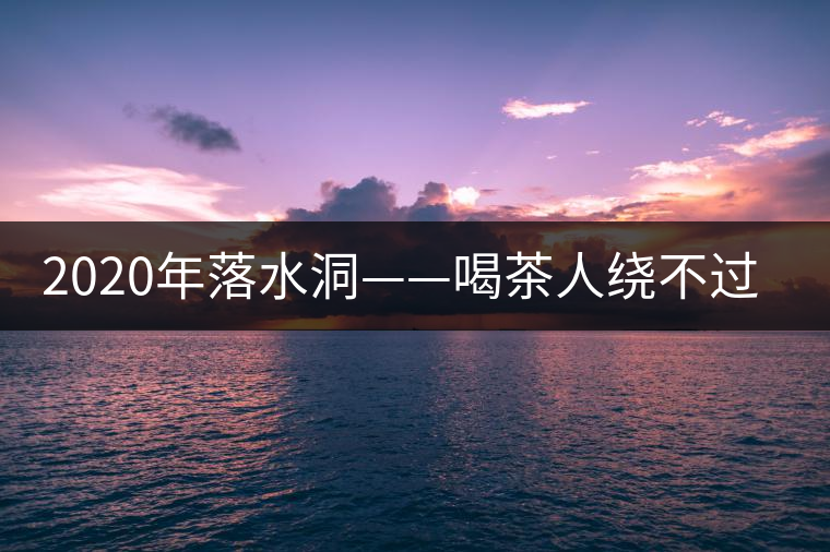 2020年落水洞——喝茶人繞不過的溫柔鄉(xiāng)！-易武中聘號