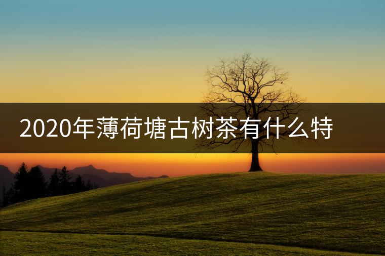 2020年薄荷塘古樹茶有什么特征？薄荷塘的價(jià)格及產(chǎn)量如何？-易武中聘號(hào)