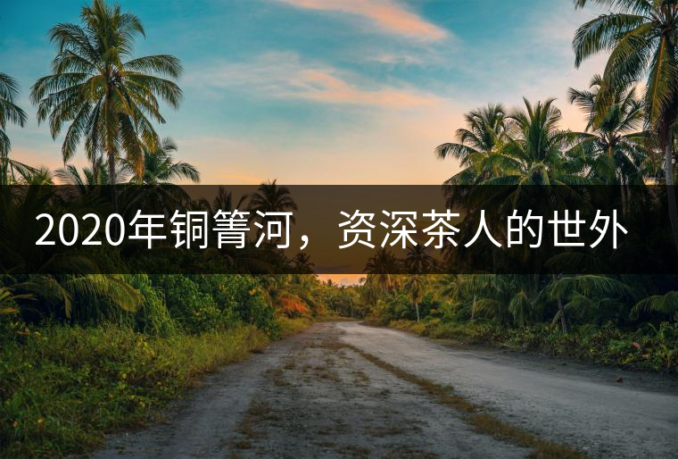 2020年銅箐河，資深茶人的世外桃源-易武-易武中聘號(hào)