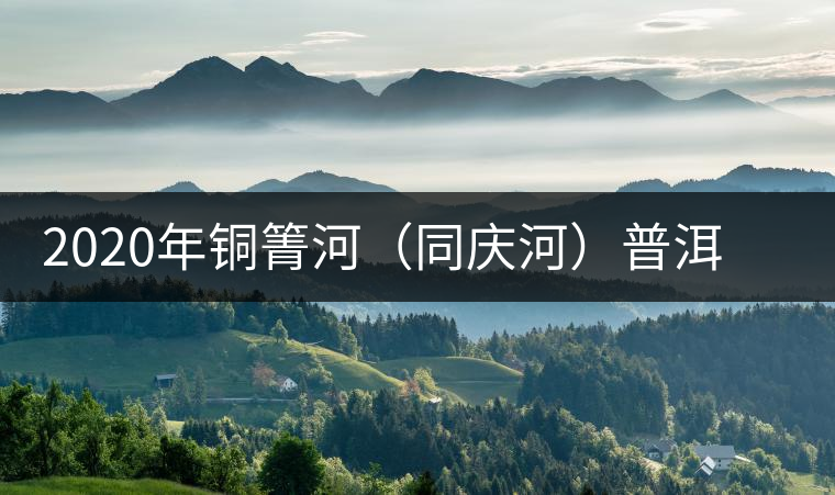2020年銅箐河（同慶河）普洱茶，野味真難尋！-易武中聘號(hào)