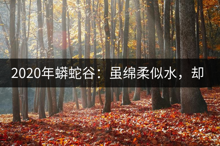 2020年蟒蛇谷：雖綿柔似水，卻氣場十足-易武中聘號