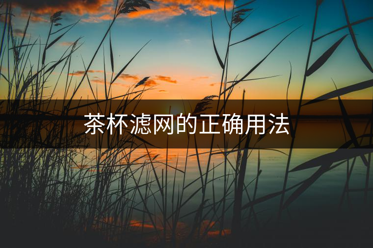 茶杯濾網的正確用法 茶杯濾網的正確用法