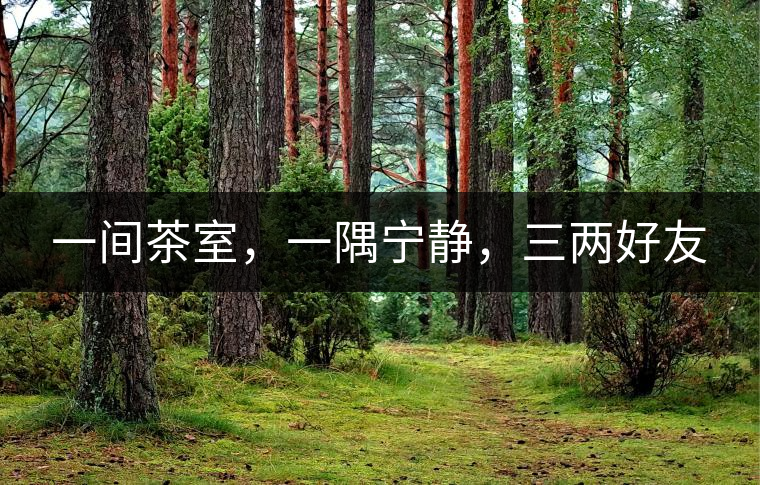 一間茶室，一隅寧?kù)o，三兩好友