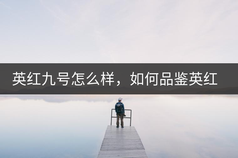 英紅九號怎么樣，如何品鑒英紅九號紅茶