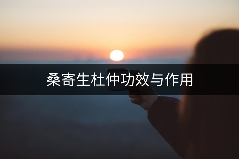 桑寄生杜仲功效與作用 桑寄生杜仲功效與作用