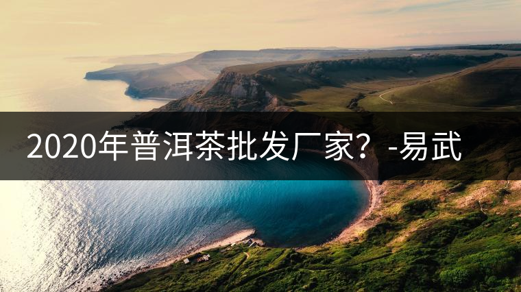 2020年普洱茶批發(fā)廠家？-易武中聘號