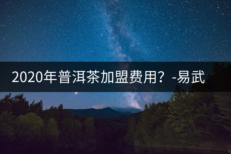 2020年普洱茶加盟費用？-易武中聘號