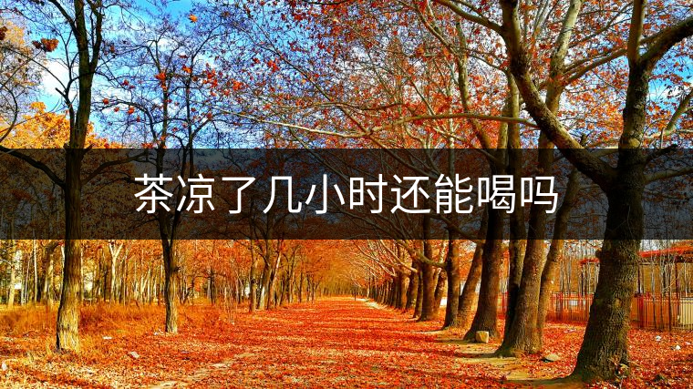 茶涼了幾小時(shí)還能喝嗎