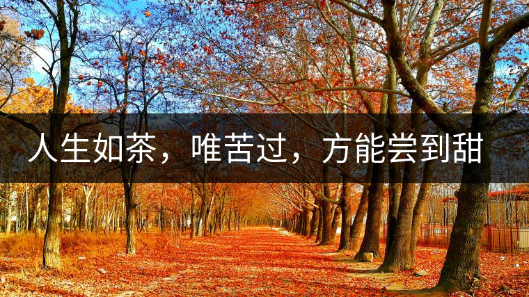 人生如茶，唯苦過，方能嘗到甜滋味