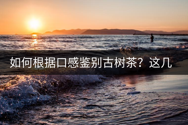 如何根據(jù)口感鑒別古樹茶？這幾個(gè)技巧值得收藏