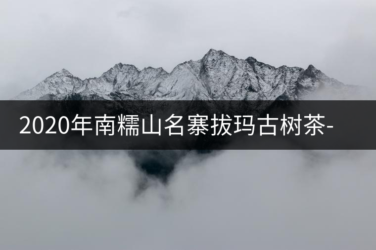 2020年南糯山名寨拔瑪古樹(shù)茶-易武中聘號(hào)