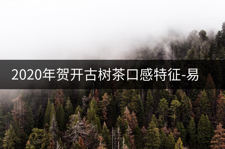 2020年賀開古樹茶口感特征-易武中聘號(hào)