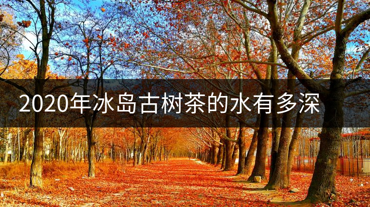 2020年冰島古樹茶的水有多深？別被蒙在鼓里啦-易武中聘號