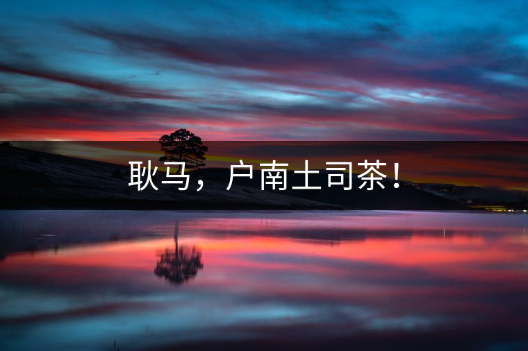 耿馬，戶南土司茶！