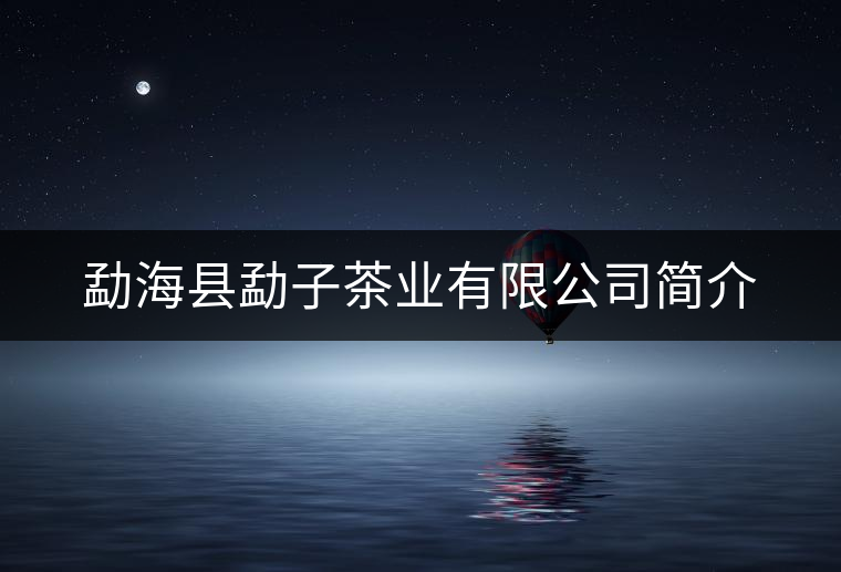 勐?？h勐子茶業(yè)有限公司簡介