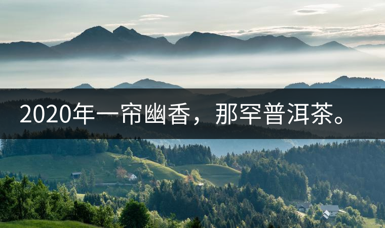 2020年一簾幽香，那罕普洱茶。-易武中聘號