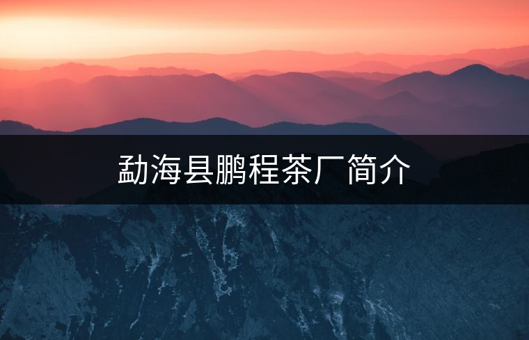 勐?？h鵬程茶廠簡介