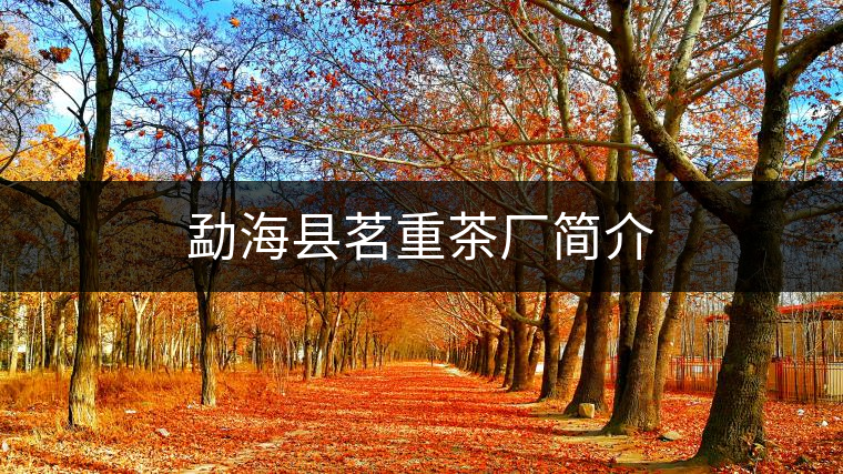 勐海縣茗重茶廠簡(jiǎn)介 勐??h茗重茶廠簡(jiǎn)介