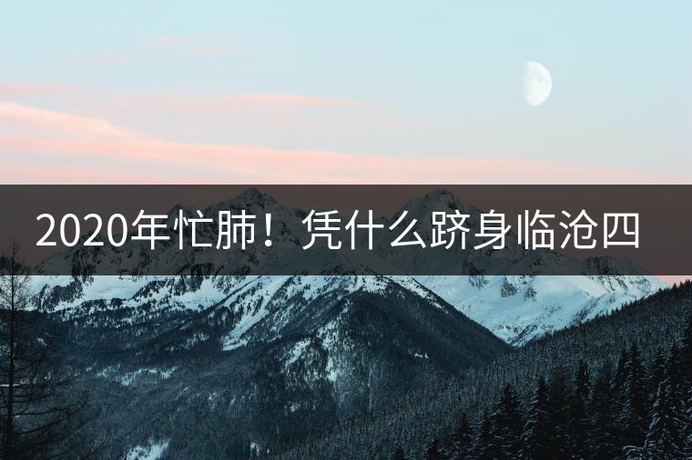 2020年忙肺！憑什么躋身臨滄四大名茶-易武中聘號(hào)
