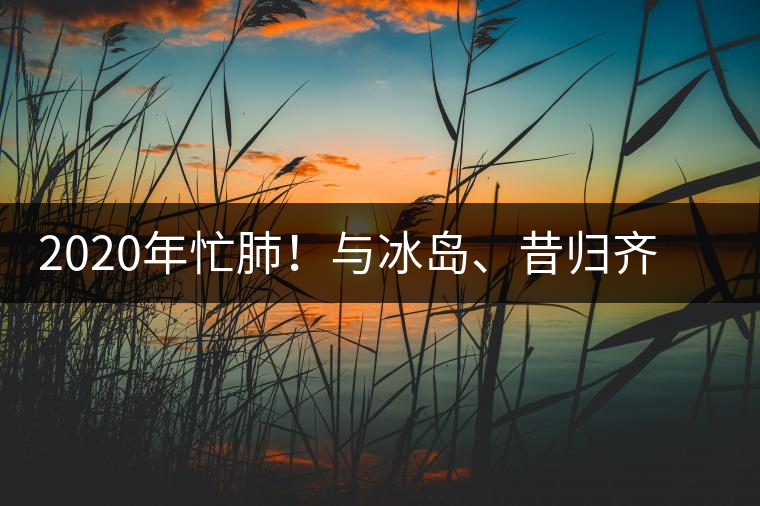 2020年忙肺！與冰島、昔歸齊名的普洱茶，到底是什么味道？-易武中聘號