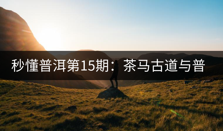 秒懂普洱第15期：茶馬古道與普洱茶有什么聯(lián)系？