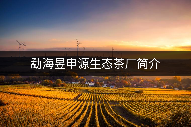 勐海昱申源生態(tài)茶廠(chǎng)簡(jiǎn)介 勐海昱申源生態(tài)茶廠(chǎng)簡(jiǎn)介