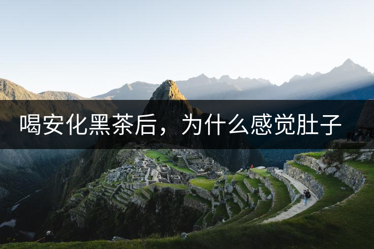 喝安化黑茶后，為什么感覺(jué)肚子餓的快？